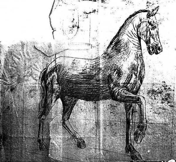 Studio di cavallo, penna su carta lucida, anni ’30, Napoli, collezione privata